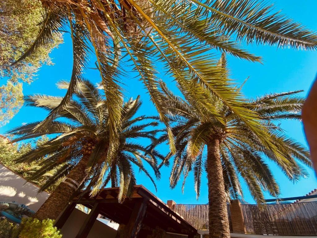 Apartamentos Montgo Denia Dış mekan fotoğraf